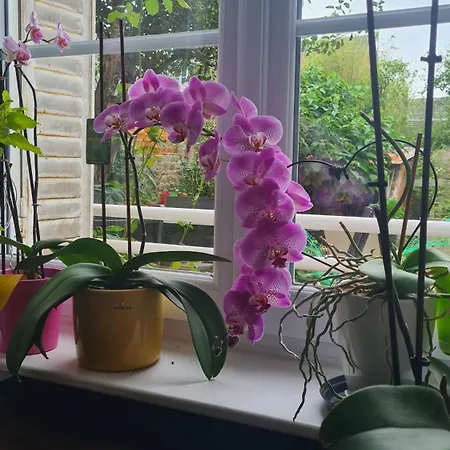 ホームステイ Chez Fabienne Et Olivier, Privative Avec Sdb Et Wc, Baie Du Mont Saint Michel