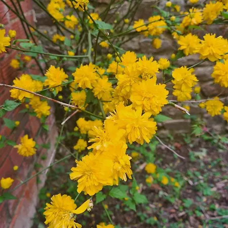 ホームステイ Chez Fabienne Et Olivier, Privative Avec Sdb Et Wc, Baie Du Mont Saint Michel *