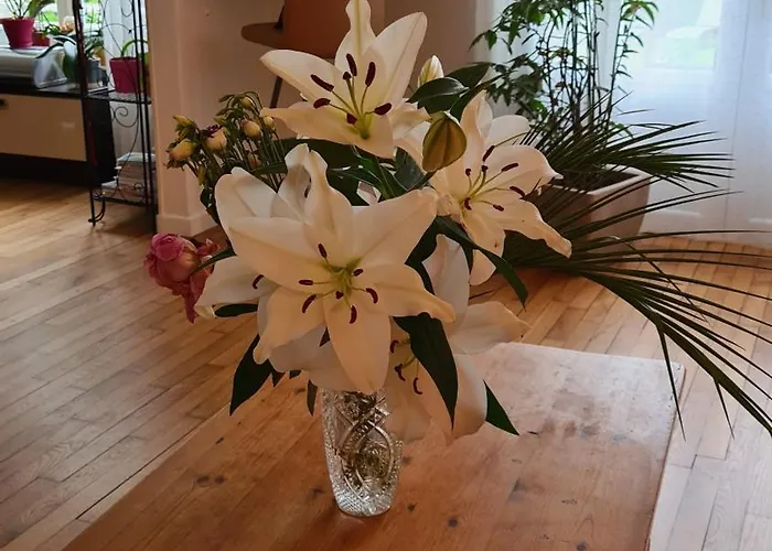 Chez Fabienne Et Olivier, Privative Avec Sdb Et Wc, Baie Du Mont Saint Michel