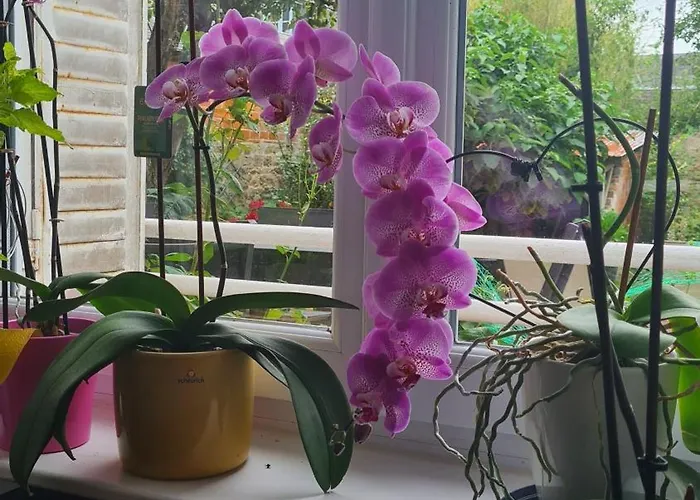 Quarto em Acomodações Particulares Chez Fabienne Et Olivier, Privative Avec Sdb Et Wc, Baie Du Mont Saint Michel