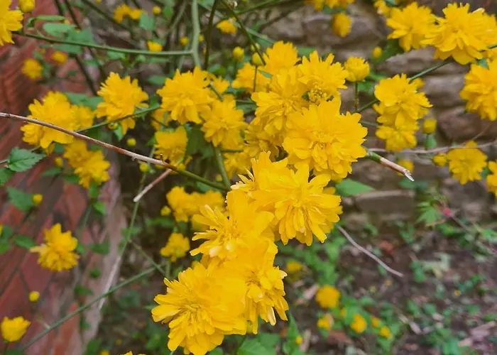 Kwatera prywatna Chez Fabienne Et Olivier, Privative Avec Sdb Et Wc, Baie Du Mont Saint Michel *